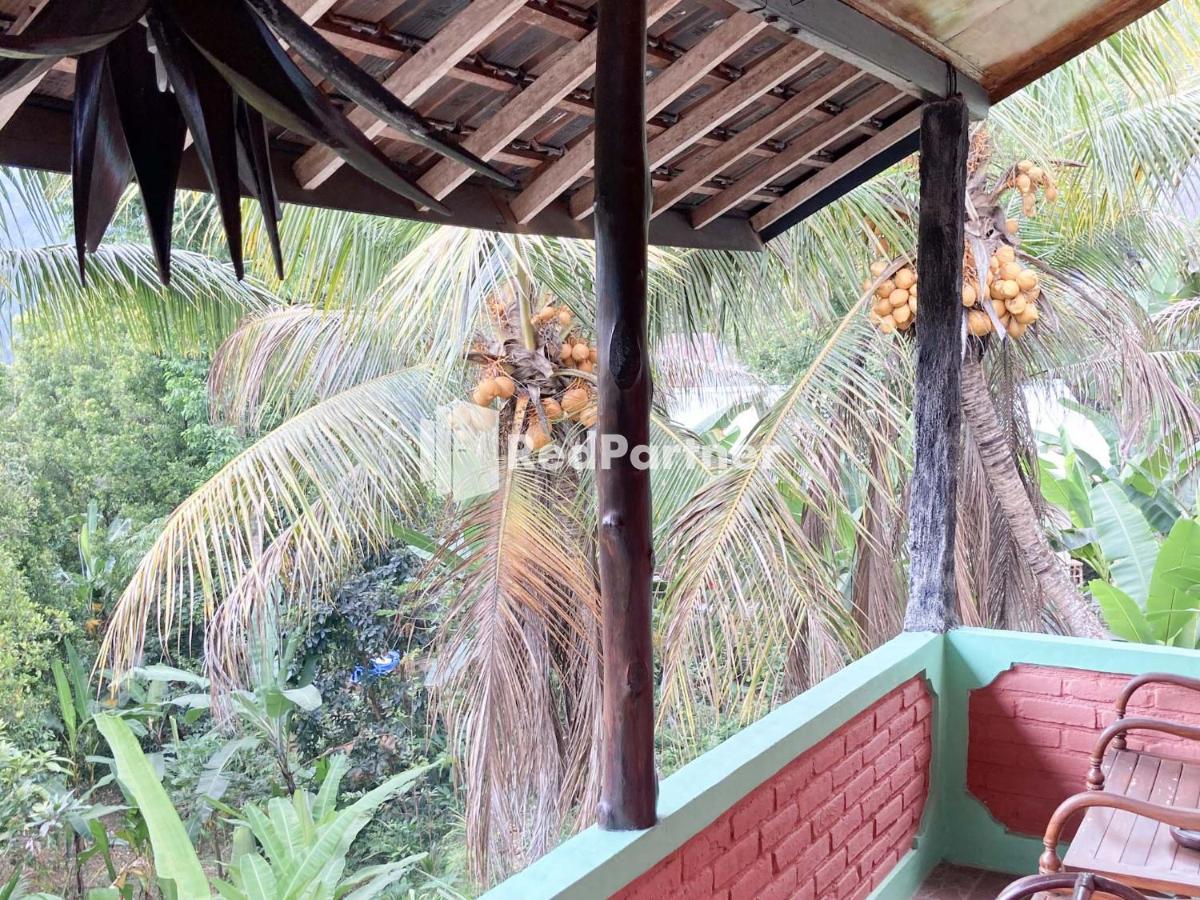 Taman Ayu Homestay Munduk Mitra Reddoorz Kültér fotó