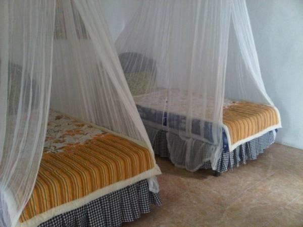 Taman Ayu Homestay Munduk Mitra Reddoorz Kültér fotó
